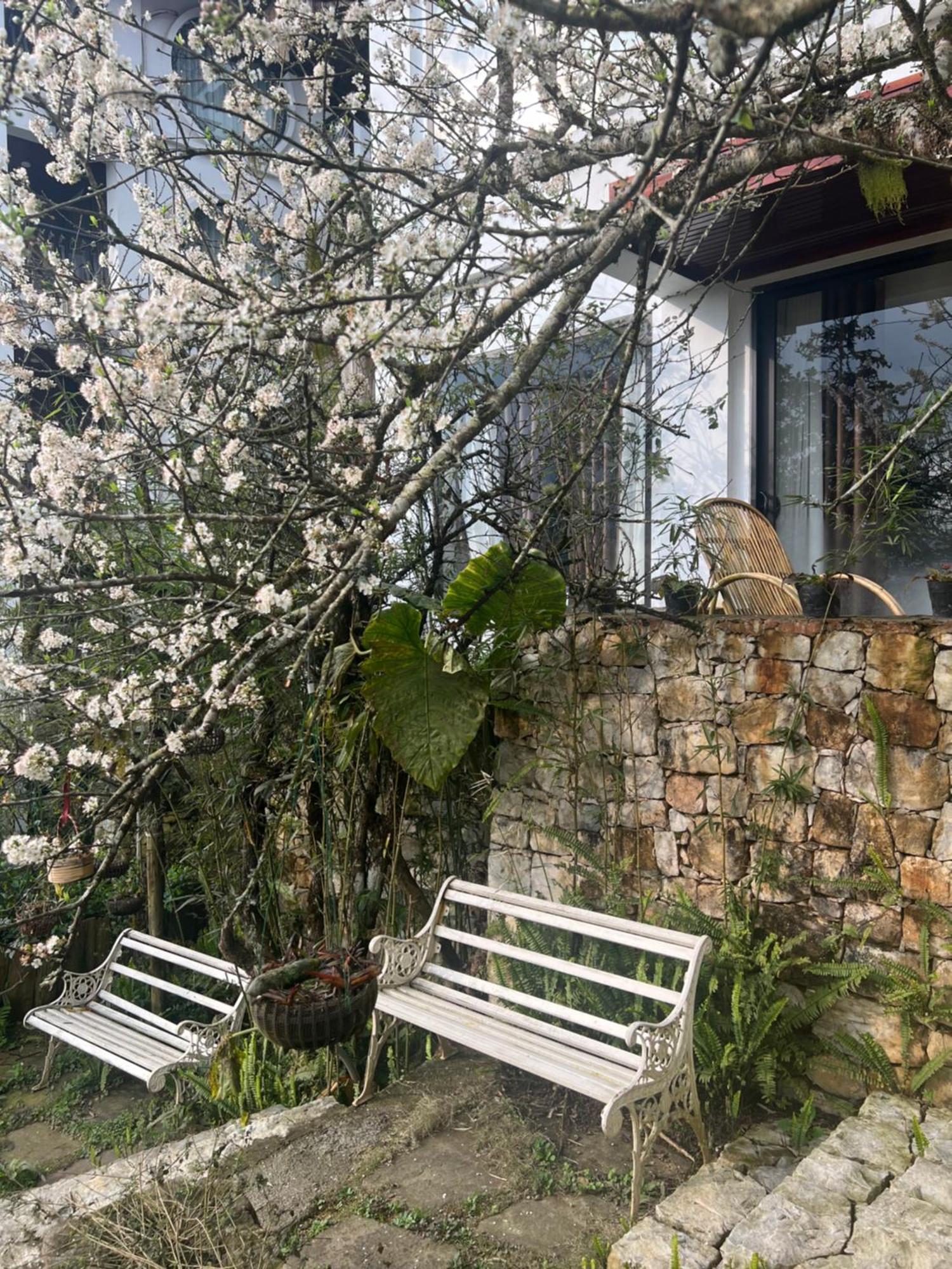 Green Villa Sapa Luaran gambar